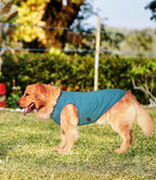 2 Pack Dog Shirts, Quick Dry Lightweight Dog T-Shirts Sleeveless Vest, Breathable Pet Clothes Tank Top for Large Medium Dogs, Mint Blue+Orange Yellow (XL)