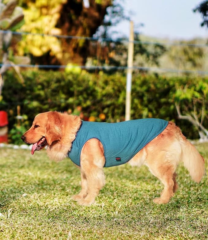 2 Pack Dog Shirts, Quick Dry Lightweight Dog T-Shirts Sleeveless Vest, Breathable Pet Clothes Tank Top for Large Medium Dogs, Mint Blue+Orange Yellow(2XL)