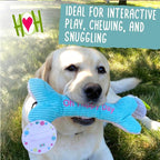 HuggleHounds Plush Dog Toy - Fuzzy Birthday Dog Toy, Plush Soft Fleece, Interactive Durable Stuffed, for Small and Large Breeds with Squeaker - Birthday Bone