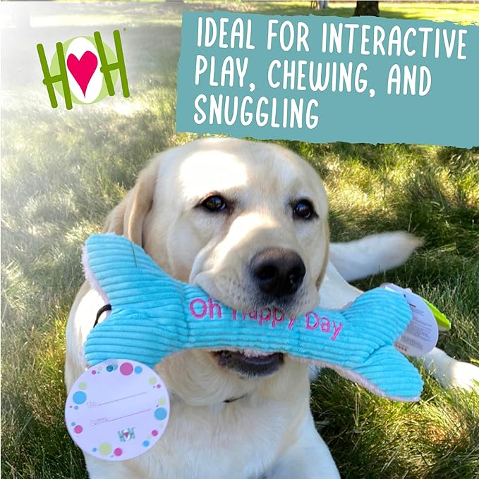 HuggleHounds Plush Dog Toy - Fuzzy Birthday Dog Toy, Plush Soft Fleece, Interactive Durable Stuffed, for Small and Large Breeds with Squeaker - Birthday Bone