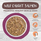 Weruva Classic Cat Stews, Stick A Spork in It with Duck & Salmon in Gravy, 3oz Pouch (Pack of 12)