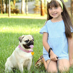 Frienda 48 Pcs Blank Pet ID Tag Colorful Aluminum Dog Cat Badge Blank Round Heart Star Bone House Rectangle Tags with Ring Pet ID Badge Pendant with Hole for Dog Cat Name Phone Number, 6 Styles