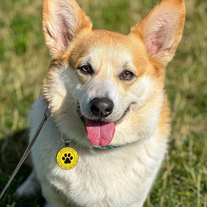 MYLUCKYTAG QR Code Silicone Dog Cat Tag, Online Pet Profile, Pet Location Alert Email, Durable Dog Collar Tag