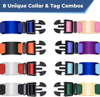 GoTags Dog Collar with Personalized Nameplate, Adjustable Dog Collar with Custom Engraved Slide On Pet ID Tag in Stainless Steel, Silent, No Noise Dog Tag Small to Large Unique Colors
