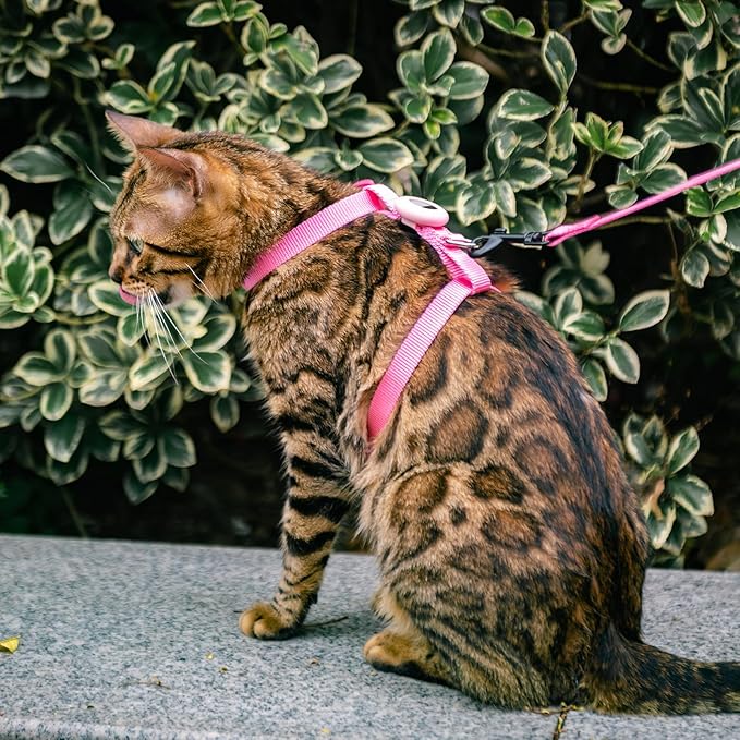 Cat Harness and Leash Set with Airtag Holder for Walking & Travelling, Escape Proof Cat Harness for Small Medium Large Kitten, Adjustable Lightweight Soft Cat Vests (Pink)