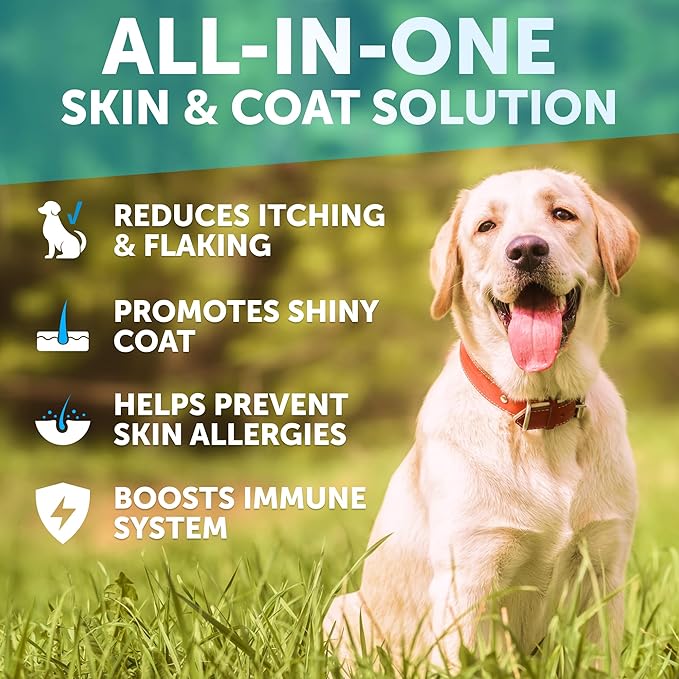 Omega 3 Fish Oil for Dogs - Dog Allergy Chews - Itch Relief & Skin and Coat Supplement with Salmon Oil - Hot Spots Treatment - Allergy & Anti Shedding Support - EPA & DHA Fatty Acids - 120 Treats