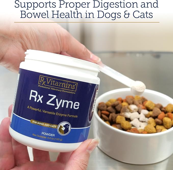 Rx Vitamins Rx Zyme Powder - Digestive Enzymes for Dogs & Cats - Anti Diarrhea for Dogs, Cat Constipation Relief, Anti-Bloating - Cat Digestive Support and Dog Gut Health - 120g