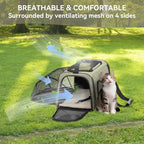 Petsfit Expandable Rabbit Carrier Small Cat Carrier Airline Approved, 16X10X9 Inches Soft-Sided Portable Small Animal Travel Bag for Kitten/Puppy/Bunny/Guinea Pig