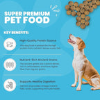 Muenster Ancient Grains Ocean Fish Dry Dog Food, 22lb - Gluten-Free, High Protein, Digestive Support