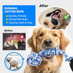 LOOBANI Spring Pole Dog Rope Toys - Tug of War Dog Toy for Pitbull Medium to Large Dogs, Indoor Outdoor Use Bungee Hanging Exercise Ropes Muscle Builder Interactive Toys (Door Hanging Style)