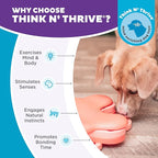 Outward Hound Nina Ottosson Puppy Tornado Dog Puzzle Interactive Treat Puzzle Dog Enrichment Dog Toy for Puppies, Level 2 Intermediate, Pink