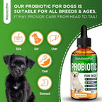 Probiotics for Dogs | Liquid Probiotics for Dogs and Puppies | Prebiotic & Digestive Enzymes | Gut Flora Support and Digestive Care | Bacon Taste | 2 Oz