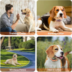 PaiPaitek Shock Collar Replacement Strap for Most of Training Collar, 3/4 Inch Dog Collar Replacement for Wireless Fence and Bark, Adjustable Reflective TPU Collar Strap - 2 Pack