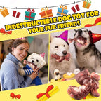 Dog Chew Toys for Aggressive Chewers: 2 Pack Indestructible &ToughToys for Aggressive Chewers-Dog Bones Nylon Toys for Small, Medium, Large Breeds-Super Chewer Toys to Keep Them Busy