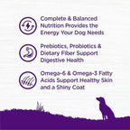 Wellness Complete Health Dry Dog Food, Wholesome Grains, Natural, Beef & Barley Recipe, (5-Poud Bag)