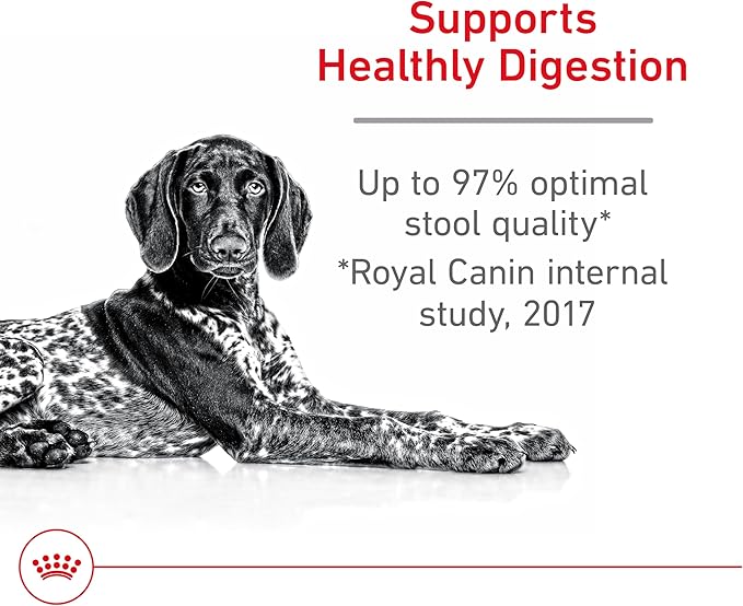 Royal Canin Large Digestive Care Dry Dog Food, 30 lb bag