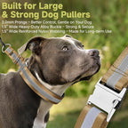 Mayerzon Martingale No Pull Collar for Large Medium Dogs, Patented Dog Walking Training Collar for Pulling, 1.5'' Wide Alloy Buckle, Neoprene Padded, Adjustable, Reflective, Easy to Use(L, Brown)
