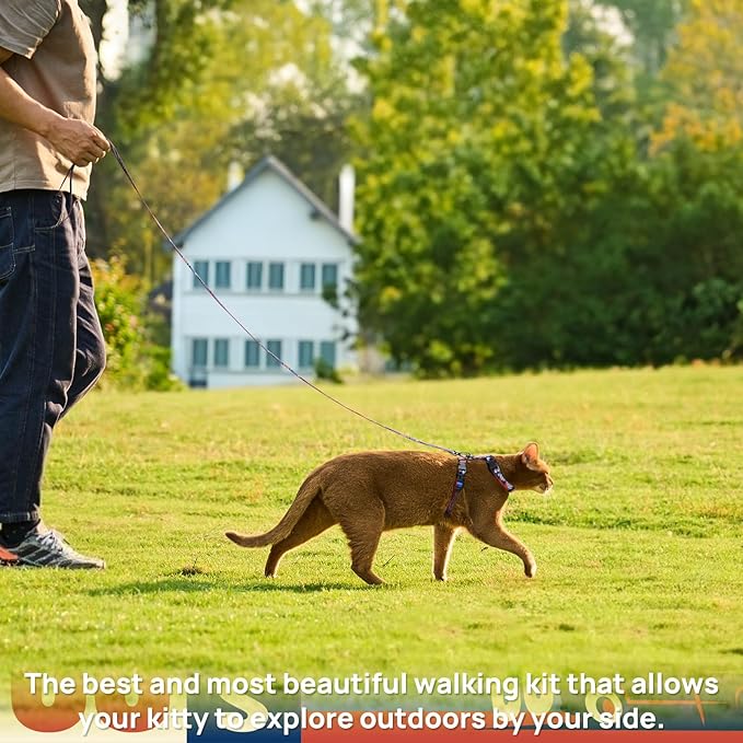 Cat Harness and Leash Set - Escape Proof Adjustable Cat Harness, Comfortable Soft Lightweight, Use Safe & Easy, Walking Travel Kitten Harness for Small Medium Large Cats (Trail 66 Blue)