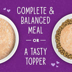 Stella & Chewy's Carnivore Cravings Purrfect Paté - Premium Grain-Free Wet Cat Food - Salmon, Tuna & Mackerel Recipe - High Protein with Bone Broth - Perfect for Picky Eaters - 2.8oz Cans (12 Pack)