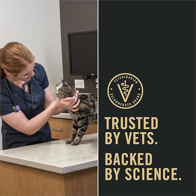 Purina Pro Plan Indoor Cat Food LiveClear Cat Allergen Reducing Turkey and Rice Formula - 3.2 lb. Bag