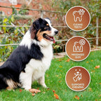 Wildfang® Leather Dog Toy, Large - Leather Bone for Teething Dog, Dental Toys for Puppies, Training for Chewing Muscles, Puppy Chew Bones for Light or Medium Chewers (for Dogs Over 33 lbs), Pack of 3