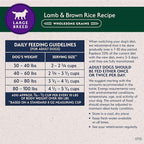 Natural Balance Limited Ingredient Large Breed Adult Dry Dog Food with Healthy Grains, Lamb & Brown Rice Recipe, 12 Pound (Pack of 1)