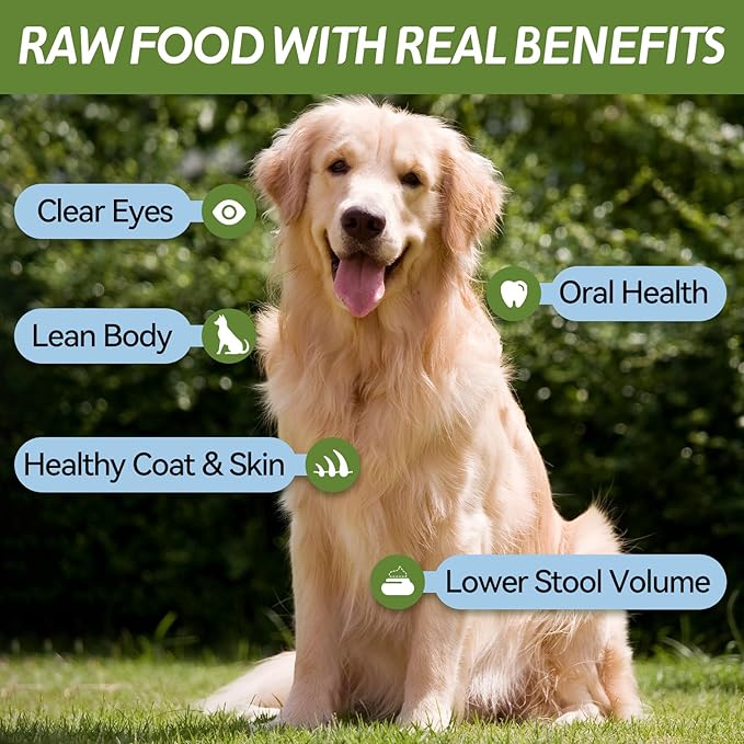 OPET Freeze Dried Duck Cat Treats, Single Ingredient Grain Free High Protein Pet Food for Cats and Dogs, Healthy Training Snacks，Freeze Dried Duck Breast Sliced Fillets (Duck Breast, 1.48 Ounce)