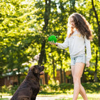 Flourish Pets 2 in 1 Multi-Layer Chew Toy for Active Dogs | Non-Toxic BPA Free Double Stitched Soft Fabric Exterior Dog Toys | Long-Lasting Dog Plush Toys – Love Frog/Love Gorilla 3.5"