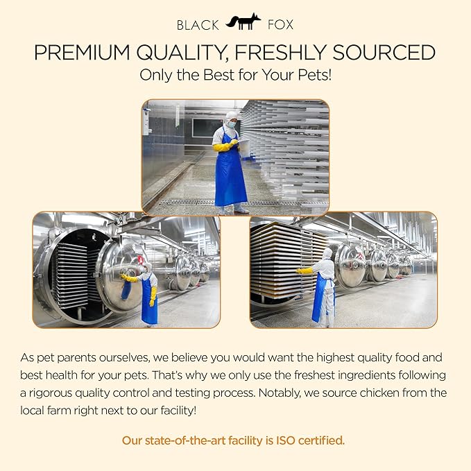 BLACK FOX Freeze-Dried Chicken Breast Training Treats for Dogs and Cats | 330 Treats, 4oz Single Ingredient, Raw, Healthy, All Natural, Human Grade, Recyclable Packaging