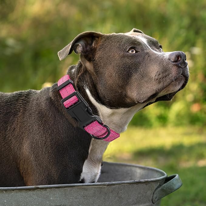 Mile High Life Dog Collar | Nylon Reflective Dog Collars | Light Weight Puppy Collars | Pink Dog Collars for Small Dogs (Solid Pink, X-Small)