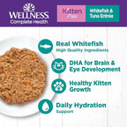 Wellness Complete Health Pate Kitten Wet Cat Food, Natural, Protein-Rich, Grain Free, 5.5 Ounce, 24 Pack, (Whitefish & Tuna)