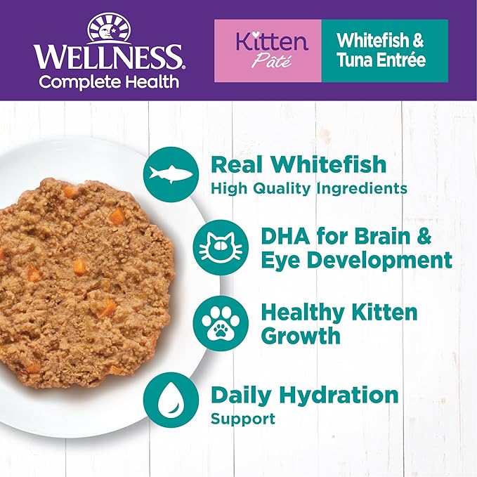 Wellness Complete Health Pate Kitten Wet Cat Food, Natural, Protein-Rich, Grain Free, 5.5 Ounce, 24 Pack, (Whitefish & Tuna)