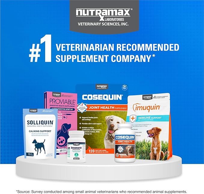 Nutramax Cosequin Maximum Strength Joint Health Supplement for Dogs - With Glucosamine, Chondroitin, and MSM, 60 Chewable Tablets