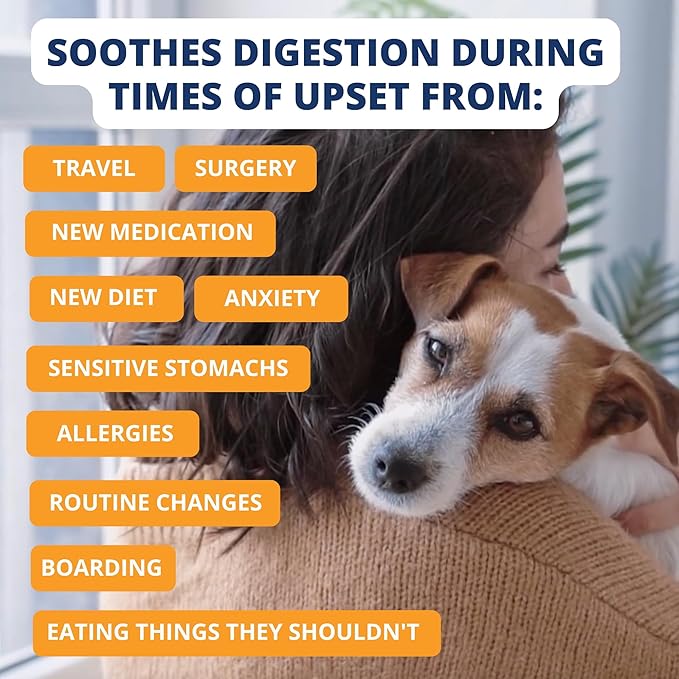 Under the Weather Bland Diet for Dogs | Easy to Digest for Sick Dogs |Always Be Ready | Contains Electrolytes - All Natural Freeze Dried 100% Human Grade Meats | 6 Pack - Rice, Chicken & Pumpkin - 6oz