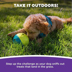 Outward Hound by Nina Ottosson Treat Tumble Interactive Puzzle Ball Dog Toy, Level 1 Beginner, Blue, Small (4.75" Diameter)