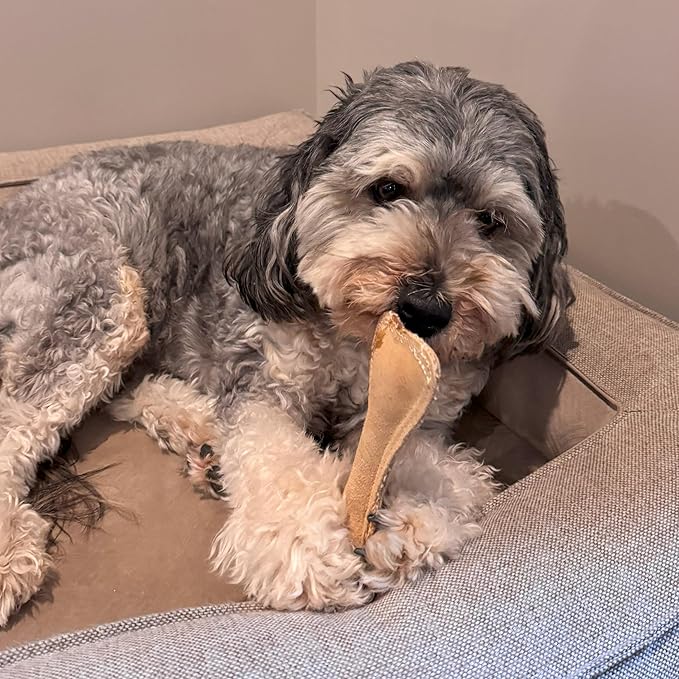 SPOT Dura-Fused Leather Small Bone Dog Toy – Durable Chew Toy with Real Leather & Jute, Squeaker, and Double-Stitched Seams for Moderate Chewers, Small & Medium Dogs, 7in