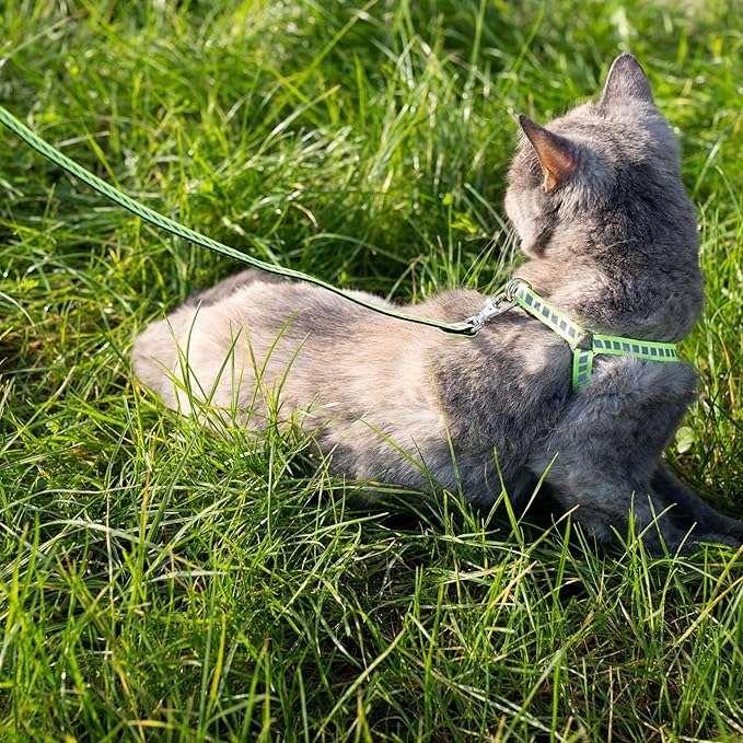 Filbert Cat Harness and Leash Set with Reflective Strip, Thin Cat Harness Escape Proof with Leash, Step-in, Adjustable, Indoor Outdoor, Easy-to-Put-On
