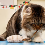 Gigwi Cat Toys for Indoor Cats, Interactive Cat Toy with Real Squeaky Mouse Electronic Sound Chirping, Kitten Toys Automatic Cats Mice Toy for Exercise & Kicker to Self Play, Relieve Boredom