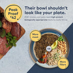 ZIWI Peak Air-Dried Dog Food – Beef - All Natural, High Protein, Grain Free, Limited Ingredient w/ Superfoods (140.8oz)