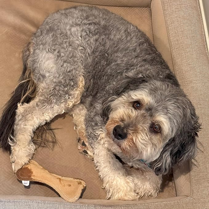 SPOT Dura-Fused Leather Small Bone Dog Toy – Durable Chew Toy with Real Leather & Jute, Squeaker, and Double-Stitched Seams for Moderate Chewers, Small & Medium Dogs, 7in