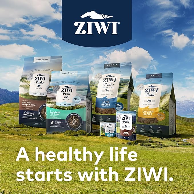 ZIWI Peak Canned Wet Cat Food – All Natural, High Protein, Grain Free, Limited Ingredient, with Superfoods (Beef), 6.5 Ounce (Pack of 12)
