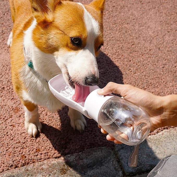 Foldable Dog Water Bottle, Portable Dog Water Dispenser, Outdoor Pet Water Bottle for Cat, Puppy, Walking, Hiking, Travel. Dishwasher Safe, 10oz