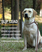 lynxking 6 FT Dog Leash Slip Lead 2 Pack Strong Heavy Duty Braided Dog Training Leash No Pull Training Lead Leashes for Medium Large and Small Dogs