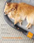 Feandrea Pet Bed, Cat Hammock, Elevated Cat Bed for Multiple Cats, with Removable Washable Mesh, for Pets up to 40 lb, Oval, Gray UPCB003G01