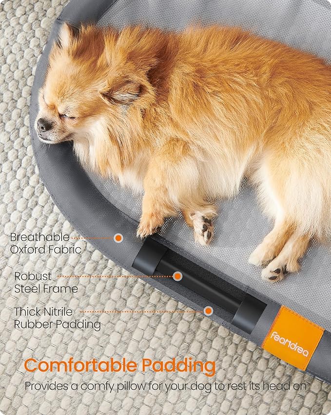 Feandrea Pet Bed, Cat Hammock, Elevated Cat Bed for Multiple Cats, with Removable Washable Mesh, for Pets up to 40 lb, Oval, Gray UPCB003G01