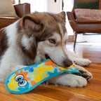 Outward Hound Tough Skinz Durable Squeaky Dog Toy with Two Tough Layers, Snake, Blue, Large