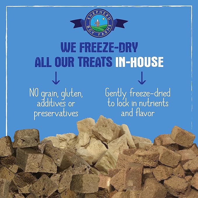Freeze Dried Dog and Cat Treats, Beef Heart, All Natural Single Ingredient Freeze-Dried Dog Treat & Snacks, Made in USA, High Protein, Essential Nutrition of Raw Food, 3oz