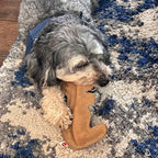 SPOT Dura-Fused Leather Squirrel Dog Toy – Real Leather & Jute Fabric, Double-Stitched & Durable, Soft Stuffed Squeaky Interactive Chew Toy for Moderate Chewers, Small & Medium Dogs, 8in