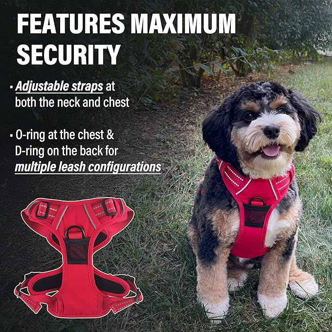 Doggie Design Venture Paw No Pull Dog Harness - Simple Adjustable Puppy Harness - Anti Pull Dog Collar for Walks and Outdoor Adventures - Crimson, M