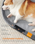 Feandrea Pet Bed, Cat Hammock, Elevated Cat Bed for Multiple Cats, with Removable Washable Mesh, for Pets up to 70 lb, Oval, Gray UPCB004G01